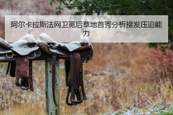 a-er-ka-la-si-fa-wang-wei-mian-hou-cao-di-shou-xiu-fen-xi-jie-fa-ya-po-neng-li-2-969.jpg