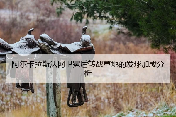 a-er-ka-la-si-fa-wang-wei-mian-hou-zhuan-zhan-cao-di-de-fa-qiu-jia-cheng-fen-xi-2-698.jpg