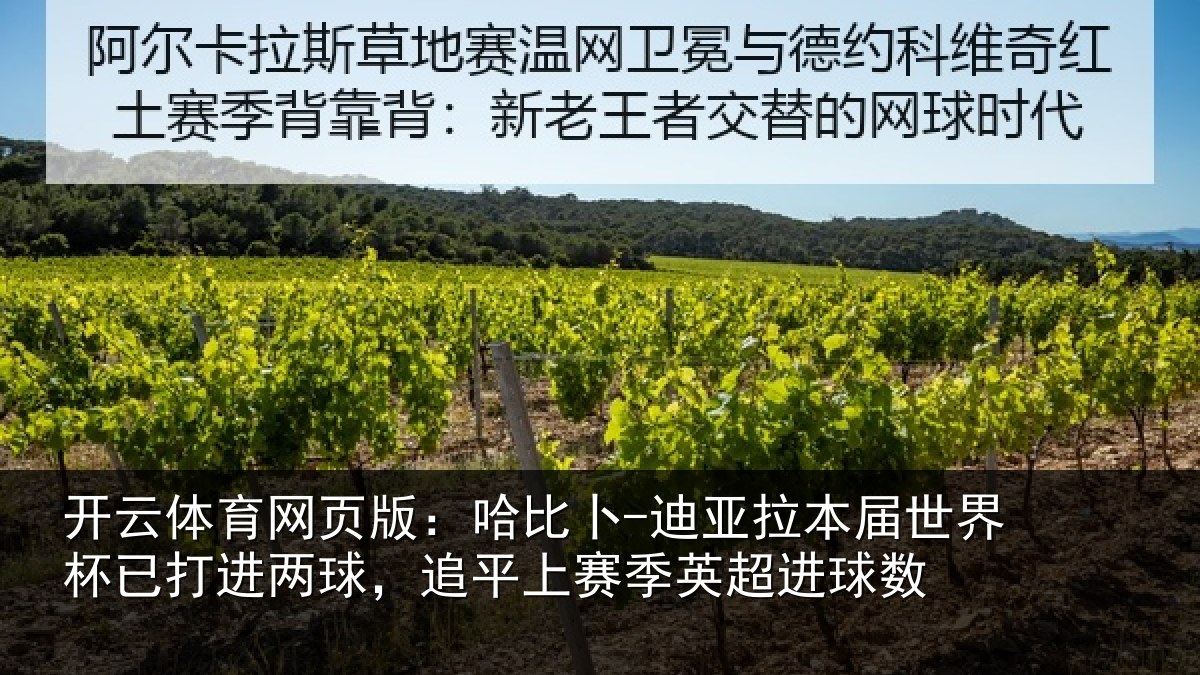 开云体育网页版：哈比相关情况杯已相关情况季英超进球数