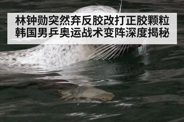 林钟勋突然弃反胶改打正胶颗粒韩国男乒奥运战术变阵深度揭秘